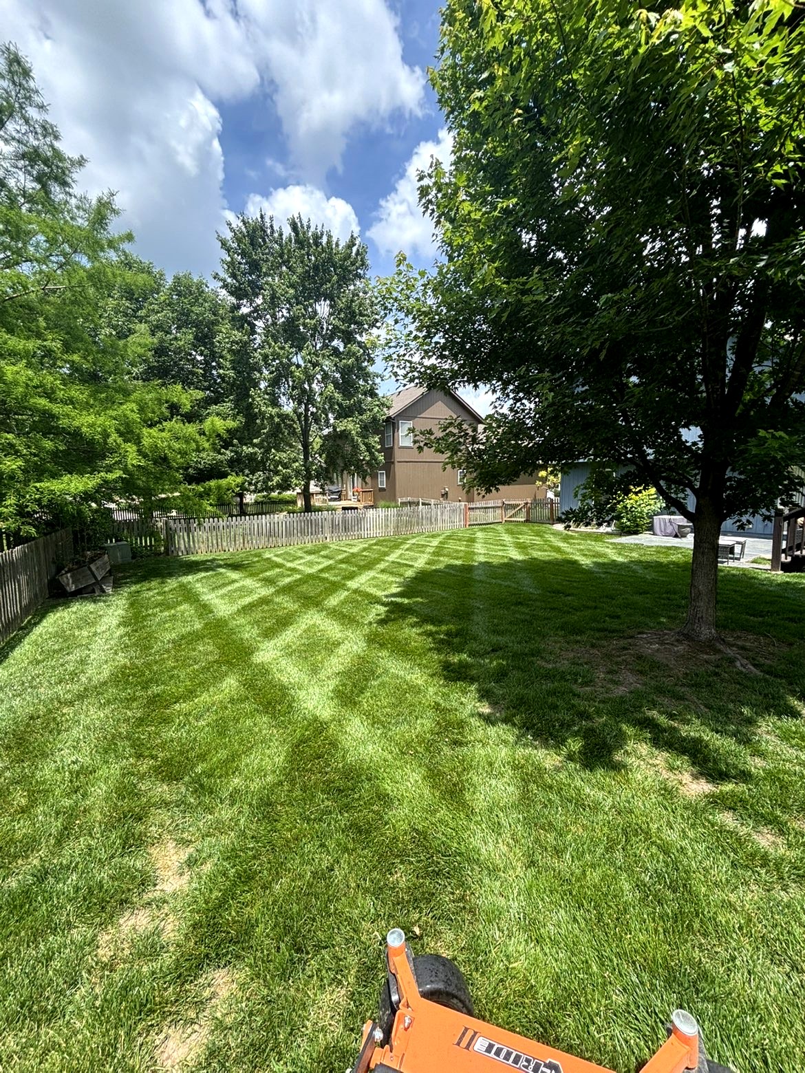 Backyard Stripe Pattern